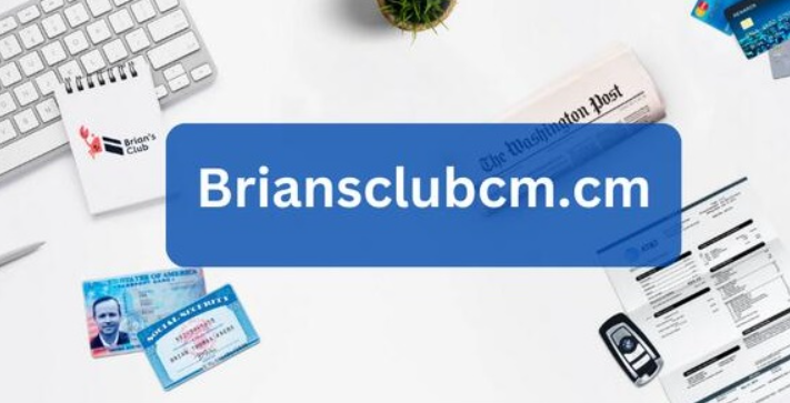 Briansclub vision