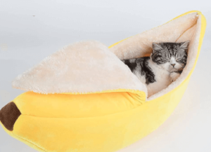 Cute:12yzjjpaetc= Banana Cat