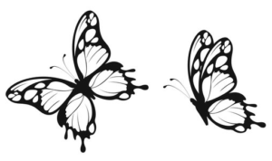 Outline:6f8gxsnezbk= Butterfly Stencil