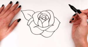 Simple:5ami8atxuuw= Rose Drawing