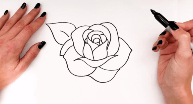 Simple:5ami8atxuuw= Rose Drawing