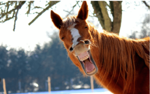 Clipart:0u7kbupbmpk= Hilarious
