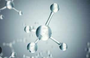 Concept Map: Organic Molecules