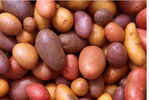Clipart:218hmrdlsjy= Potato