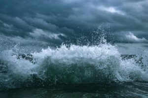 apex surge start growth transformation