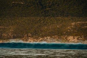apex wave inspiring potential starts