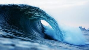 catalyst wave inspires market excellence