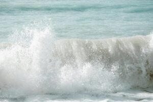fusion surge start 18008618793 shaping next level horizons