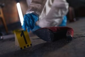 search verified registry evidence ids